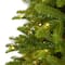 6ft. Pre-Lit Sierra Spruce Artificial Christmas Tree, Clear LED Lights